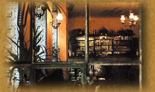 Guesthouse Mezcalero Dresden