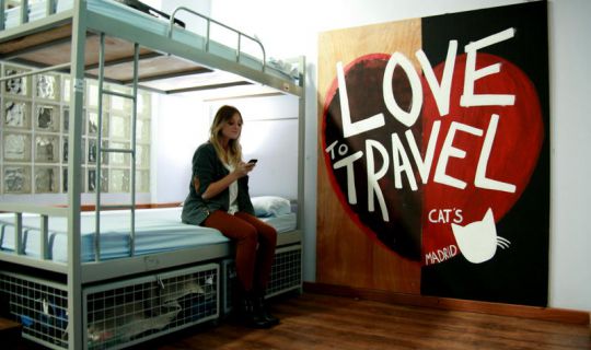 Living Cat's Hostel Madrid