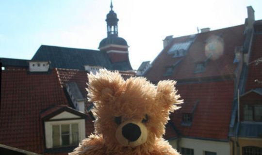 Teddy Bear Hostel Riga Riga