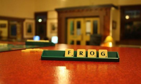 The Pickled Frog Hobart