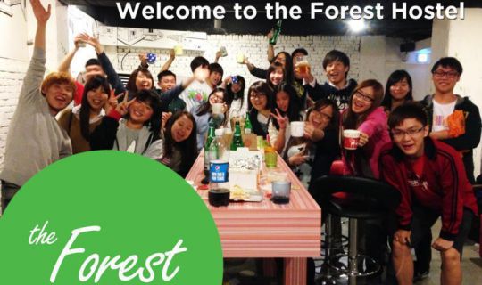 The Forest Hostel Insel Jeju