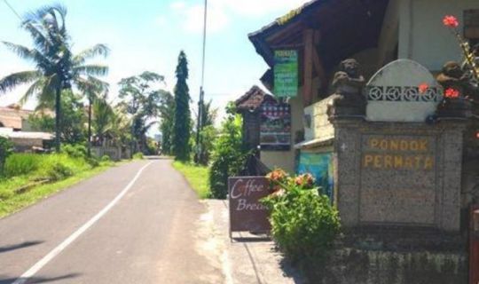 Pondok Permata Homestay Ubud, Bali
