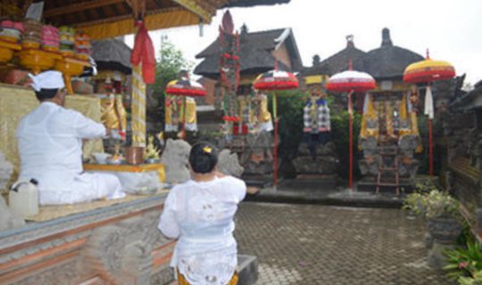 Nick's Homestay Ubud, Bali